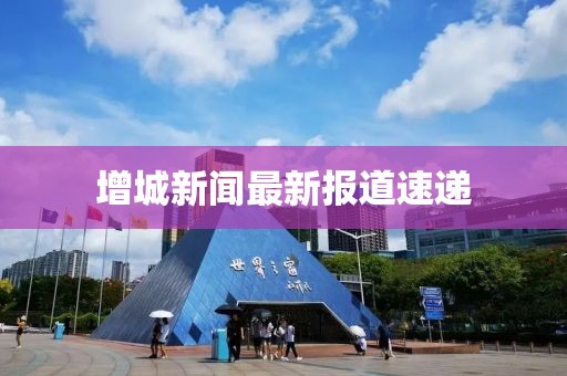 增城新闻最新报道速递