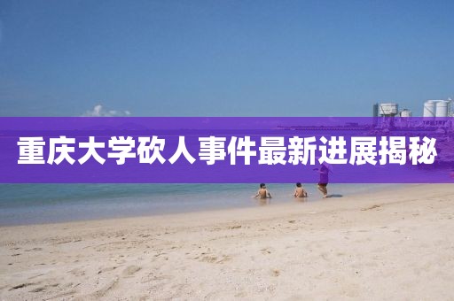重庆大学砍人事件最新进展揭秘