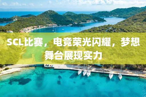 SCL比赛，电竞荣光闪耀，梦想舞台展现实力