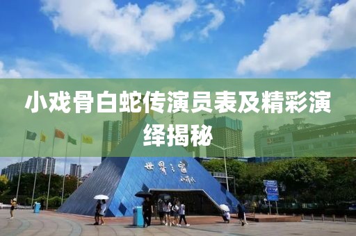 小戏骨白蛇传演员表及精彩演绎揭秘