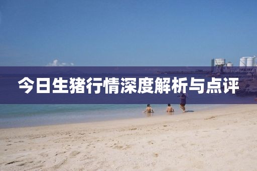 今日生猪行情深度解析与点评