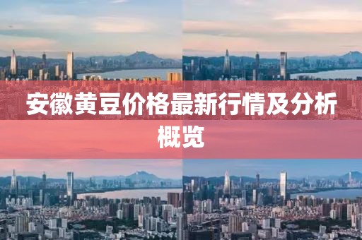 安徽黄豆价格最新行情及分析概览