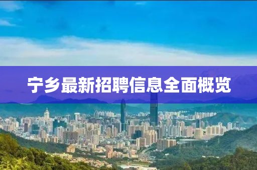宁乡最新招聘信息全面概览