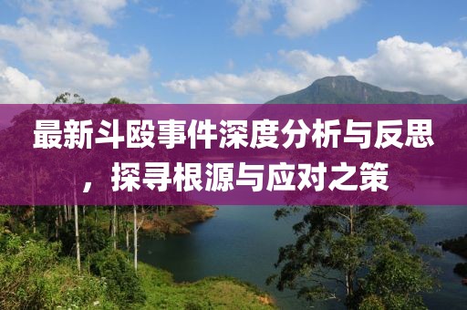 最新斗殴事件深度分析与反思，探寻根源与应对之策