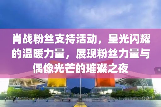 肖战粉丝支持活动，星光闪耀的温暖力量，展现粉丝力量与偶像光芒的璀璨之夜
