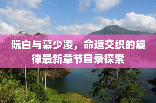 阮白与慕少凌，命运交织的旋律最新章节目录探索
