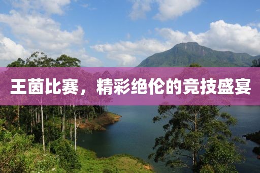 王茵比赛，精彩绝伦的竞技盛宴