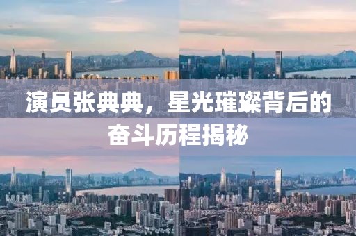 演员张典典，星光璀璨背后的奋斗历程揭秘