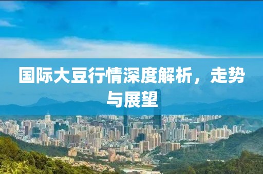 国际大豆行情深度解析，走势与展望