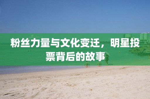 粉丝力量与文化变迁，明星投票背后的故事