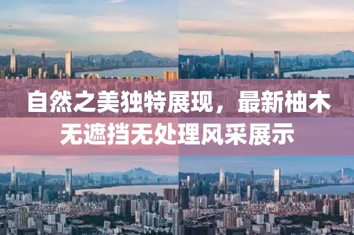 自然之美独特展现，最新柚木无遮挡无处理风采展示
