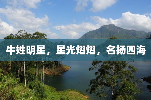 牛姓明星，星光熠熠，名扬四海