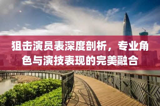 狙击演员表深度剖析，专业角色与演技表现的完美融合