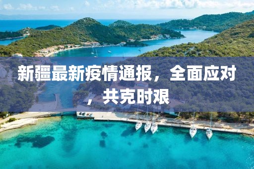 新疆最新疫情通报，全面应对，共克时艰