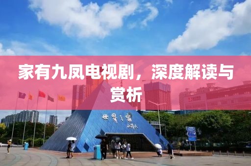 家有九凤电视剧，深度解读与赏析