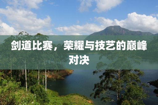 剑道比赛，荣耀与技艺的巅峰对决