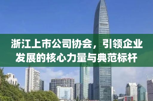 浙江上市公司协会，引领企业发展的核心力量与典范标杆