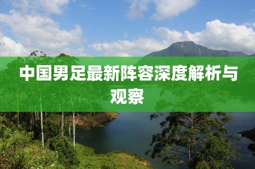 中国男足最新阵容深度解析与观察