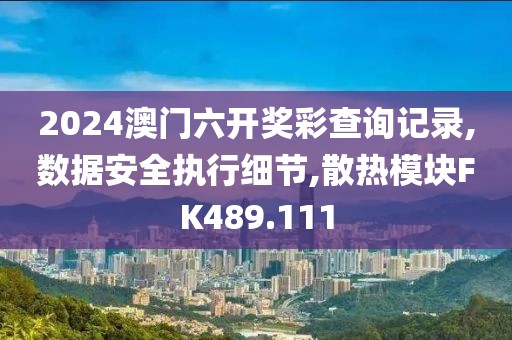 2024澳门六开奖彩查询记录,数据安全执行细节,散热模块FK489.111