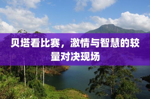 贝塔看比赛，激情与智慧的较量对决现场