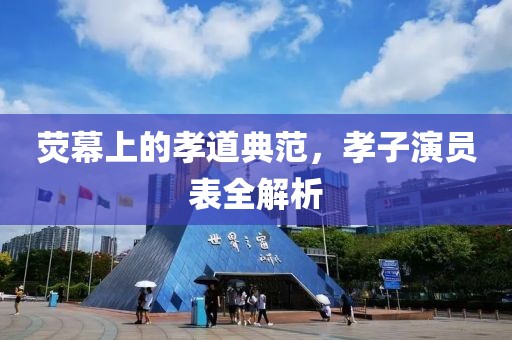 荧幕上的孝道典范，孝子演员表全解析