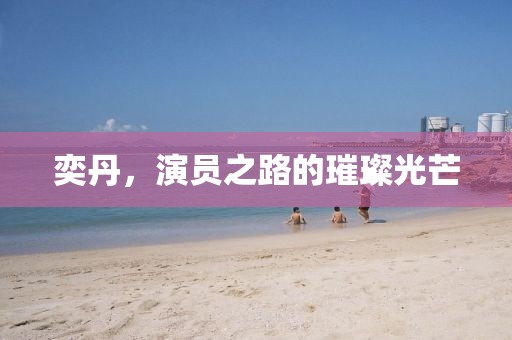 奕丹，演员之路的璀璨光芒