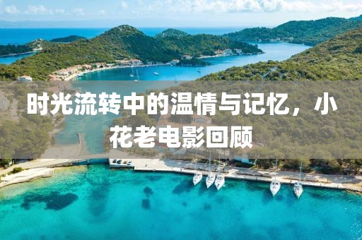 时光流转中的温情与记忆，小花老电影回顾