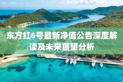 东方红6号最新净值公告深度解读及未来展望分析