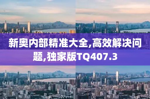 新奥内部精准大全,高效解决问题,独家版TQ407.3