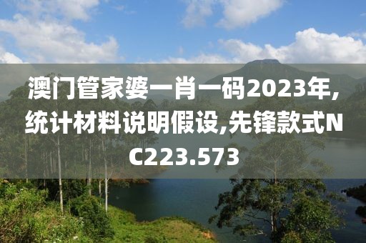 澳门管家婆一肖一码2023年,统计材料说明假设,先锋款式NC223.573