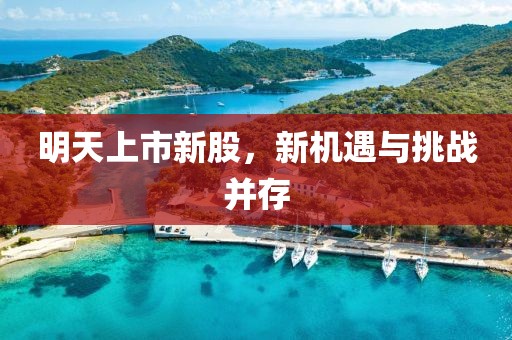 明天上市新股，新机遇与挑战并存