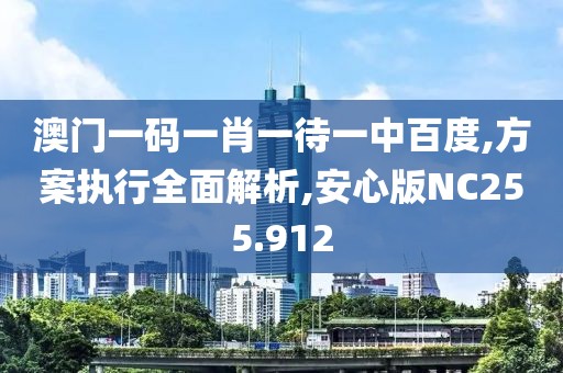 澳门一码一肖一待一中百度,方案执行全面解析,安心版NC255.912