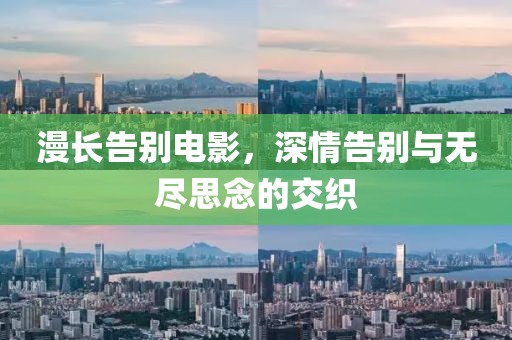 漫长告别电影，深情告别与无尽思念的交织