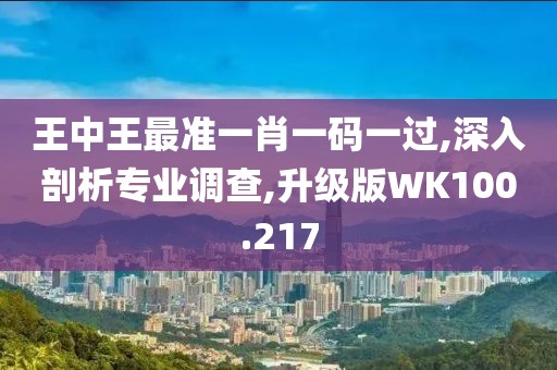 王中王最准一肖一码一过,深入剖析专业调查,升级版WK100.217