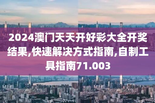2024澳门天天开好彩大全开奖结果,快速解决方式指南,自制工具指南71.003