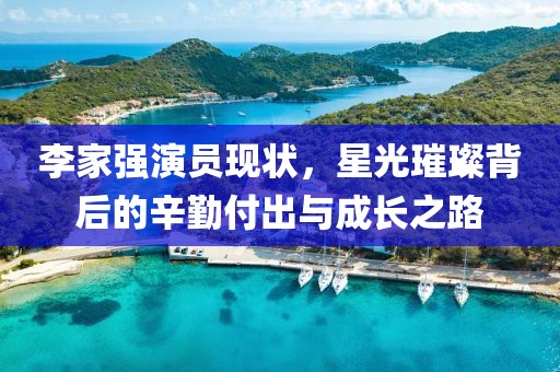 李家强演员现状，星光璀璨背后的辛勤付出与成长之路