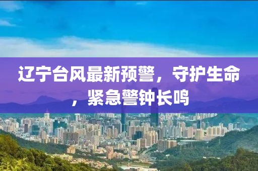 辽宁台风最新预警，守护生命，紧急警钟长鸣