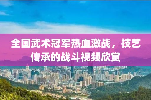 全国武术冠军热血激战，技艺传承的战斗视频欣赏