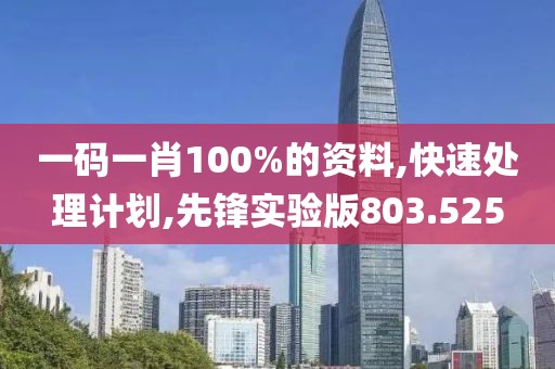 一码一肖100%的资料,快速处理计划,先锋实验版803.525