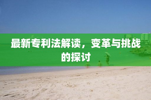 最新专利法解读，变革与挑战的探讨