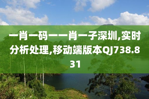 一肖一码一一肖一子深圳,实时分析处理,移动端版本QJ738.831