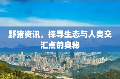 野猪资讯，探寻生态与人类交汇点的奥秘