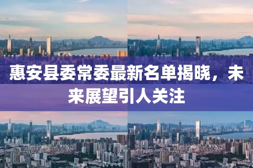 惠安县委常委最新名单揭晓，未来展望引人关注