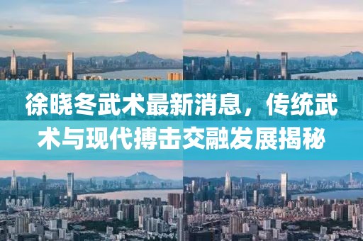 徐晓冬武术最新消息，传统武术与现代搏击交融发展揭秘