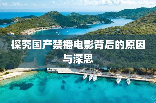 探究国产禁播电影背后的原因与深思
