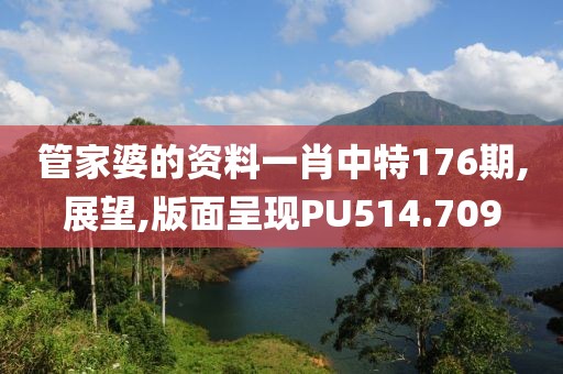 管家婆的资料一肖中特176期,展望,版面呈现PU514.709