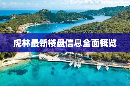 虎林最新楼盘信息全面概览