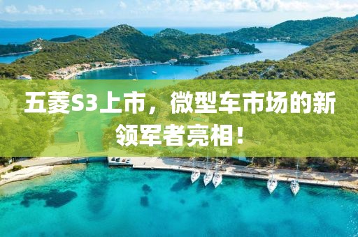 五菱S3上市，微型车市场的新领军者亮相！