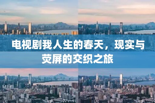 电视剧我人生的春天，现实与荧屏的交织之旅