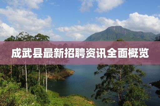 成武县最新招聘资讯全面概览